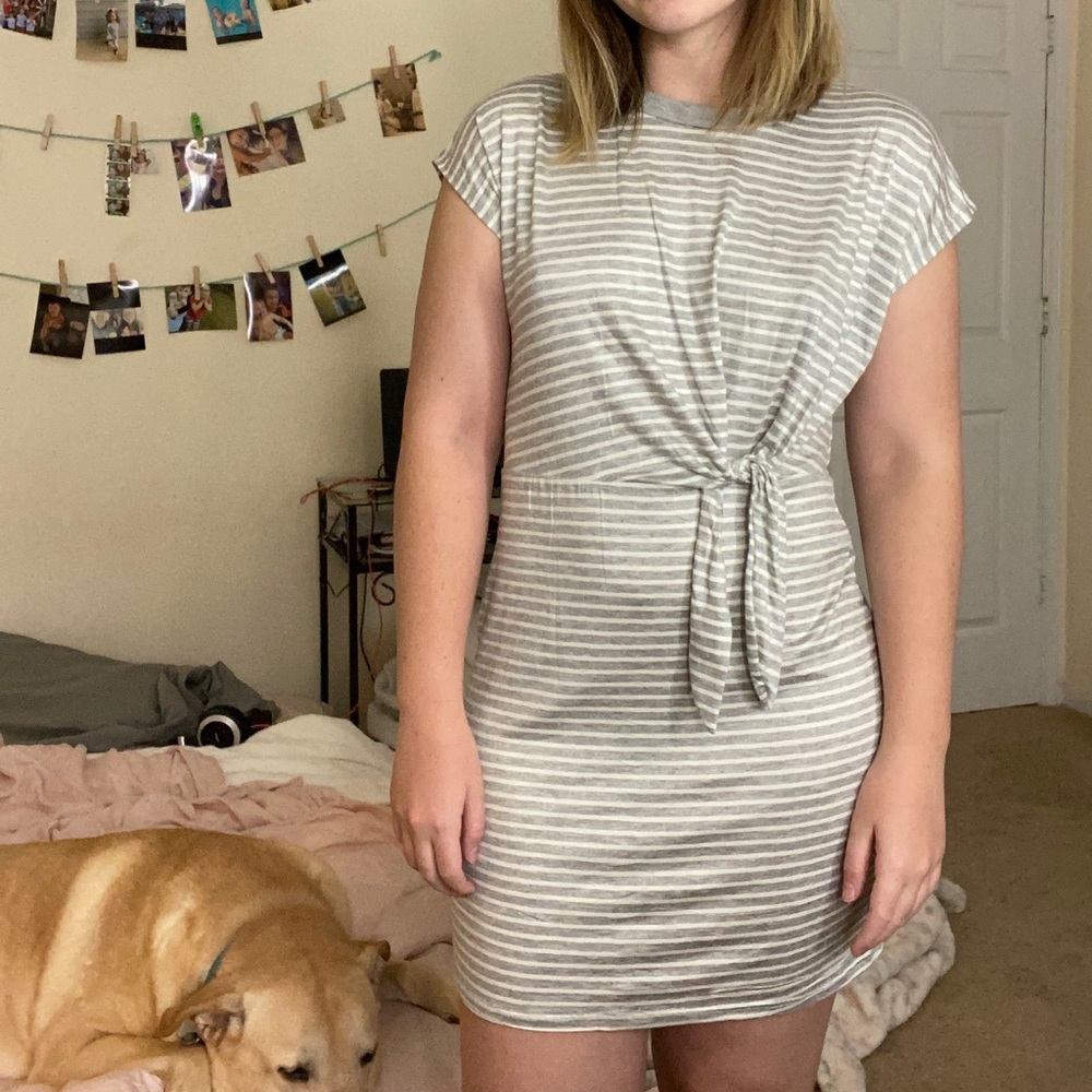 Gray and White Striped dress